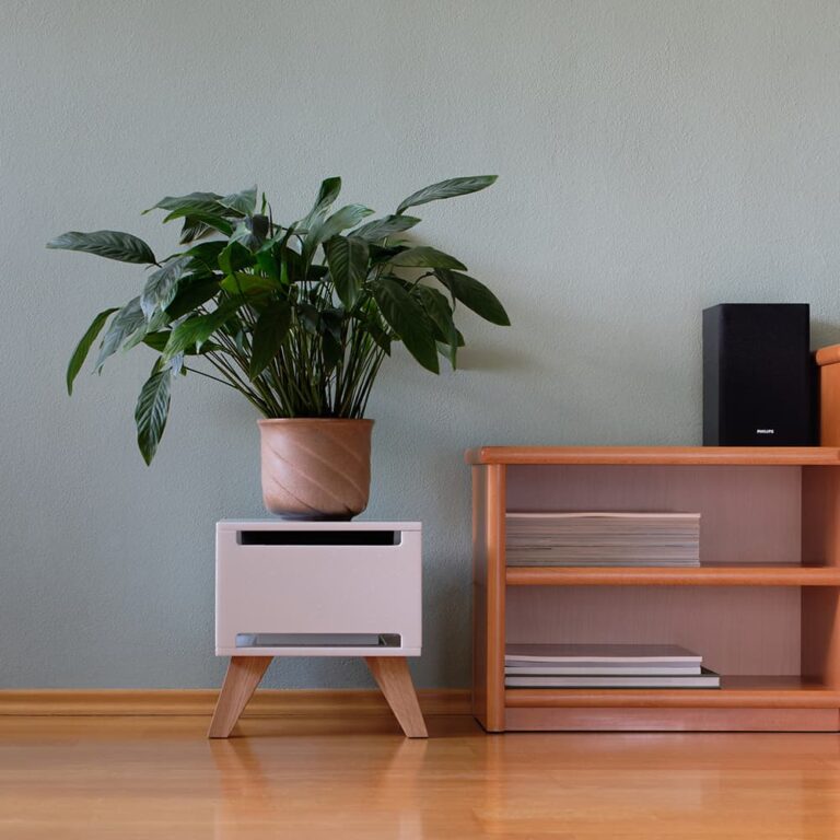 Ezra Classic – white/wood