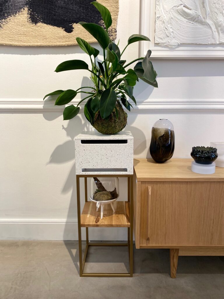 Ezra in the interior